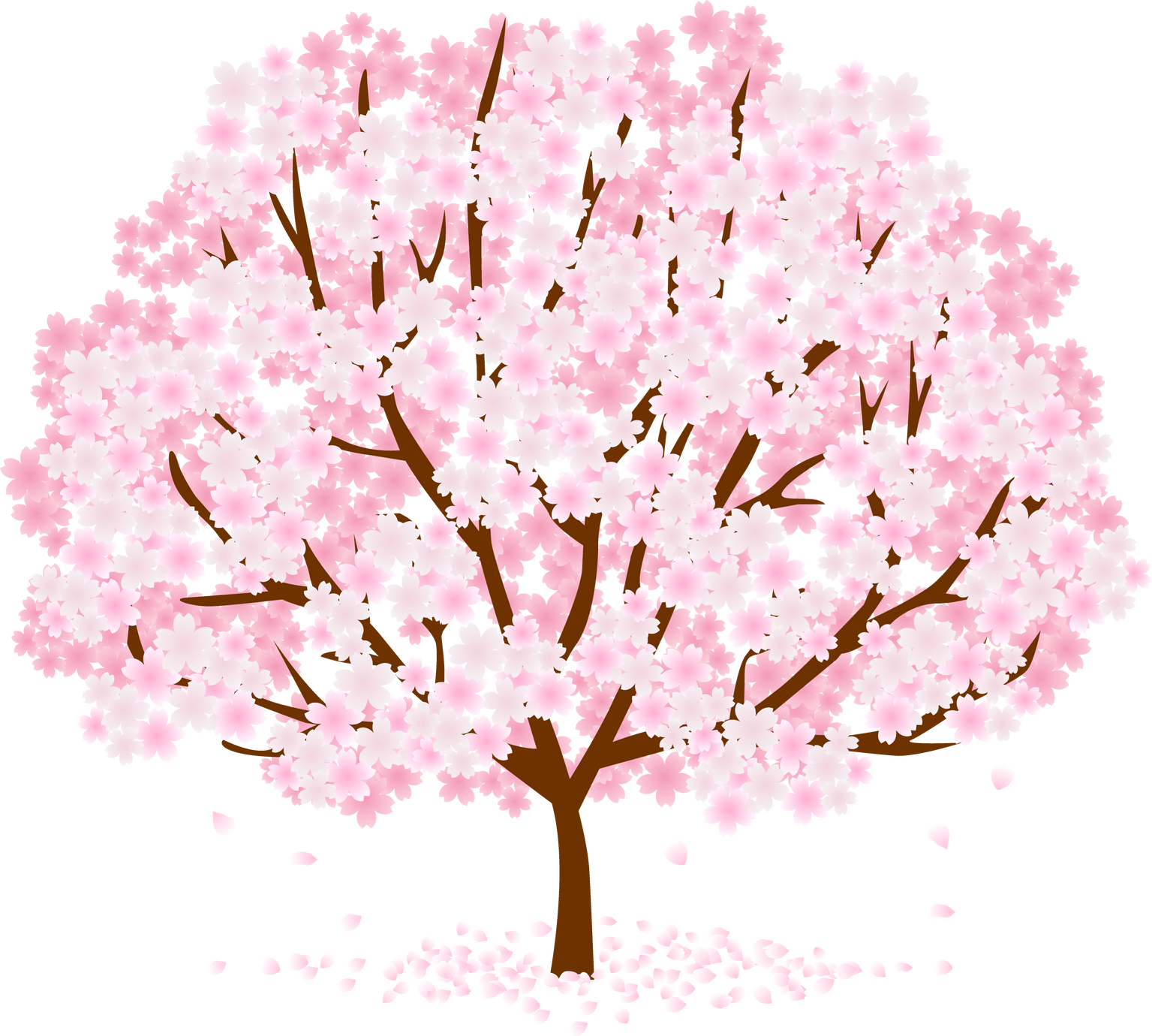Sakura Tree Illustration